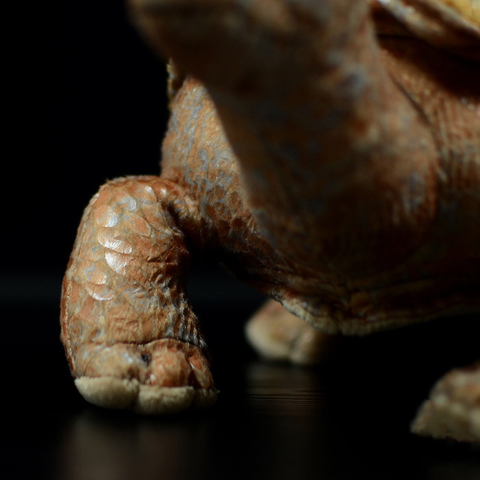 Peluche morbido a forma di tartaruga delle Galapagos