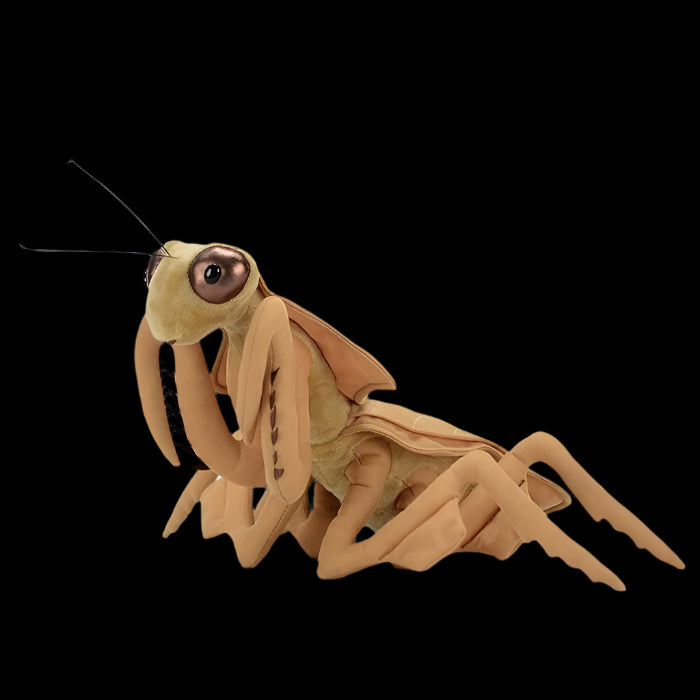 Peluche morbido di Mantide Foglia Morta