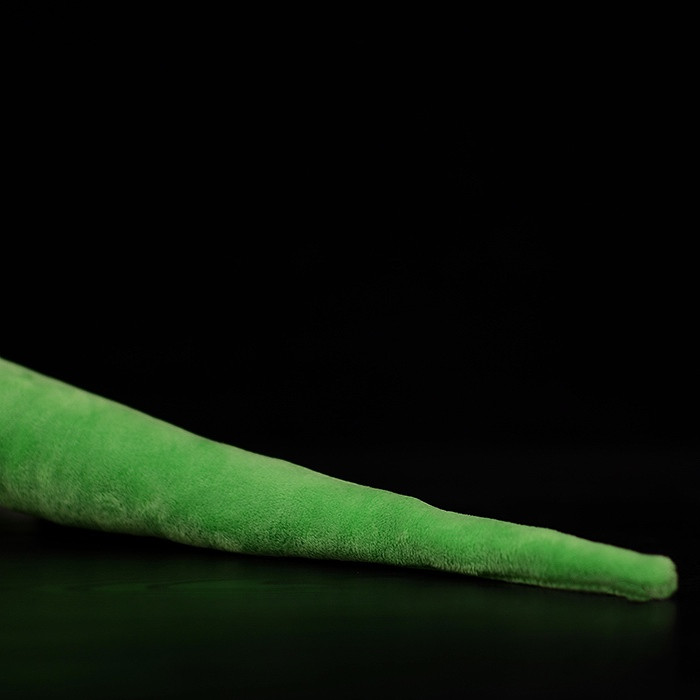 Peluche gigante del Madagascar, Geco diurno