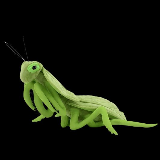 Peluche morbido Shield Mantis