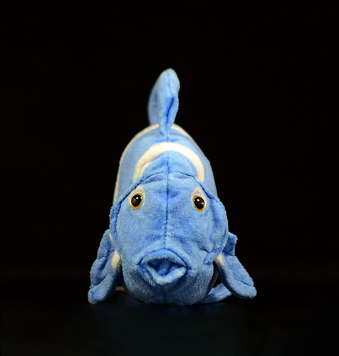 Peluche morbido di pesce chirurgo blu atlantico 