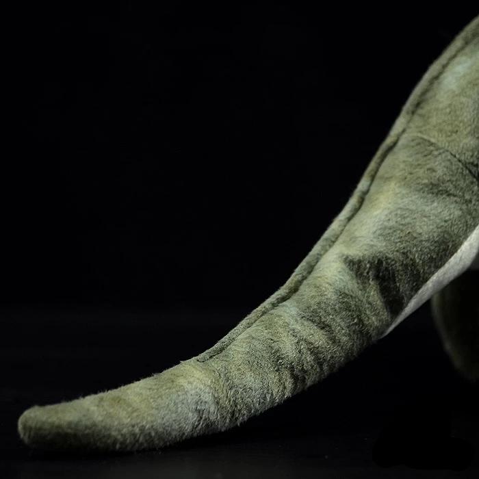 Peluche morbido di dinosauro tirannosauro T-Rex verde