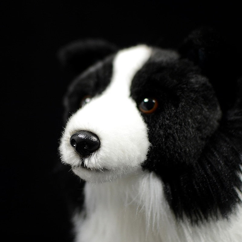 Peluche morbido a forma di cane Border Collie