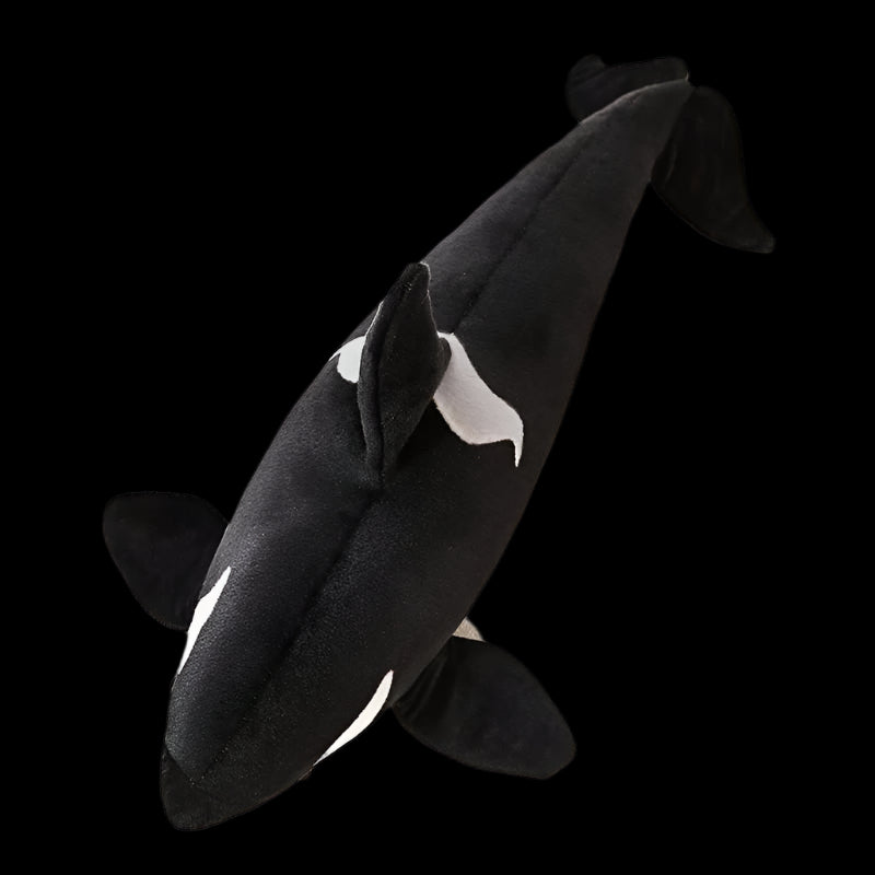 Grande orca assassina, peluche morbido