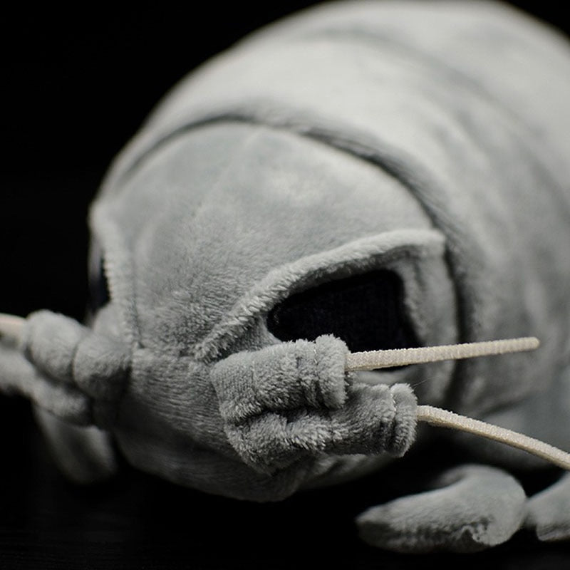 Giant Isopod Soft Stuffed Plush Toy