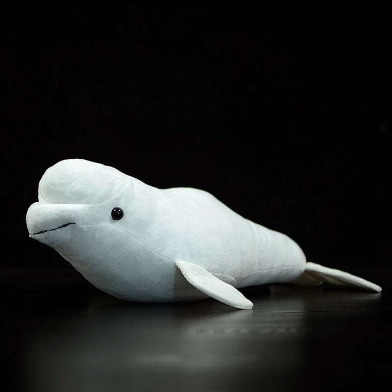 Peluche morbido di Beluga White Whale 