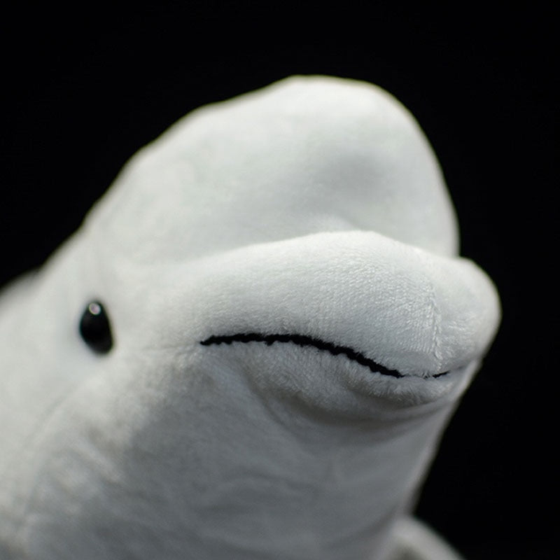 Peluche morbido di Beluga White Whale 