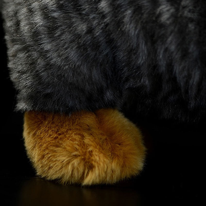 Peluche morbido del gatto di Pallas