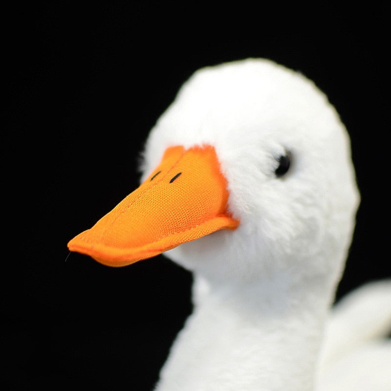 Chiama anatra uccello morbido peluche